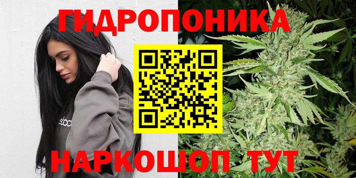Канабис тримм  Вход с VPN  Зеленодольск  Бошки Шишки Amnesia  Шишки марихуана гибрид  Шишки марихуана планчик 